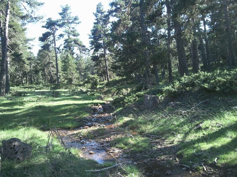FotoÃƒÂƒÃ‚Â„ÃƒÂ‚Ã‚ÂŸraf-0179.jpg