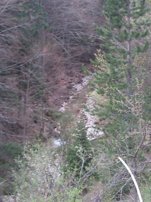 FotoÃƒÂƒÃ‚Â„ÃƒÂ‚Ã‚ÂŸraf-0181.jpg