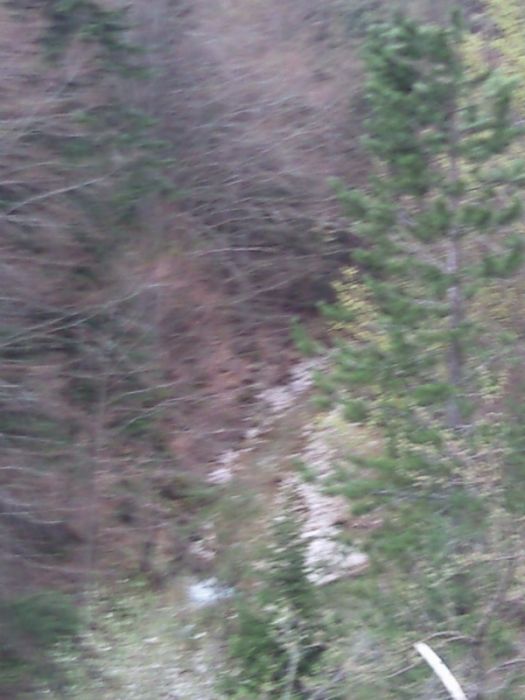 FotoÃƒÂƒÃ‚Â„ÃƒÂ‚Ã‚ÂŸraf-0182.jpg