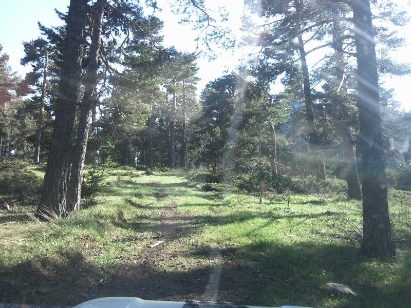 FotoÃƒÂƒÃ‚Â„ÃƒÂ‚Ã‚ÂŸraf-0182.jpg