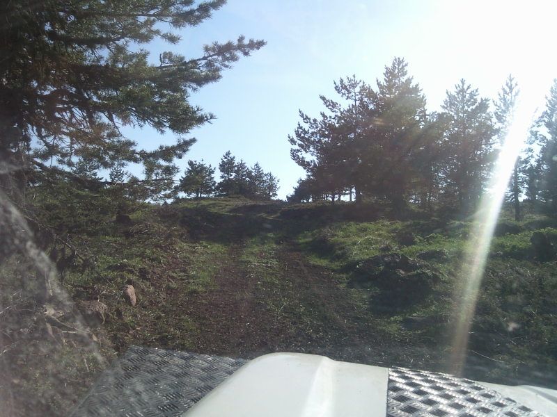 FotoÃƒÂƒÃ‚Â„ÃƒÂ‚Ã‚ÂŸraf-0184.jpg