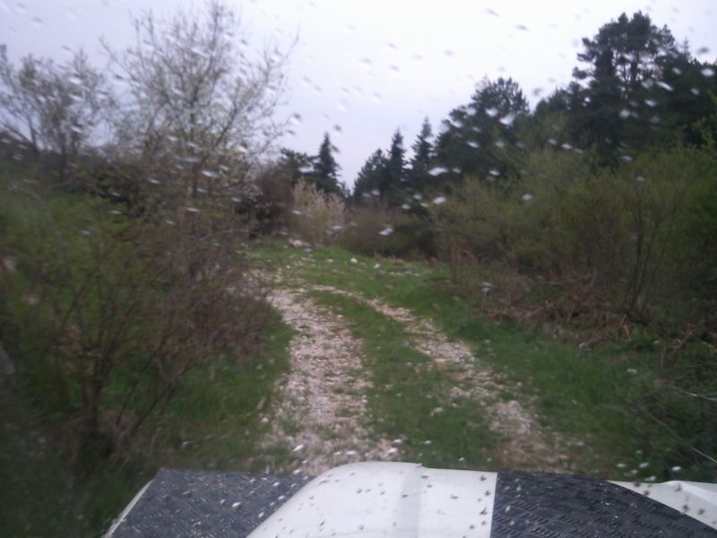 FotoÃƒÂƒÃ‚Â„ÃƒÂ‚Ã‚ÂŸraf-0186.jpg