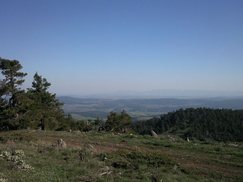 FotoÃƒÂƒÃ‚Â„ÃƒÂ‚Ã‚ÂŸraf-0186.jpg