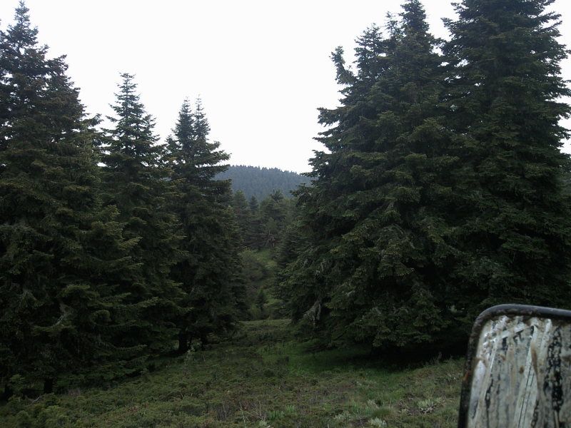 FotoÃƒÂƒÃ‚Â„ÃƒÂ‚Ã‚ÂŸraf-0186.jpg