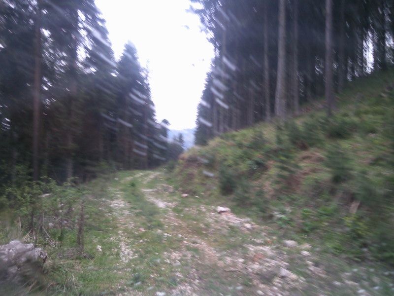 FotoÃƒÂƒÃ‚Â„ÃƒÂ‚Ã‚ÂŸraf-0187.jpg