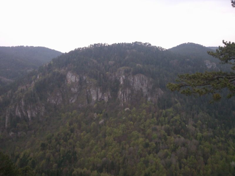 FotoÃƒÂƒÃ‚Â„ÃƒÂ‚Ã‚ÂŸraf-0189.jpg