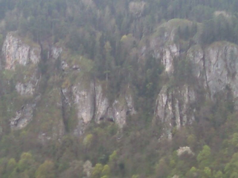 FotoÃƒÂƒÃ‚Â„ÃƒÂ‚Ã‚ÂŸraf-0190.jpg