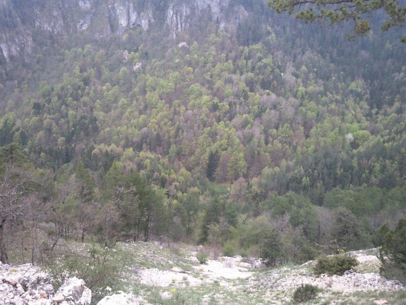 FotoÃƒÂƒÃ‚Â„ÃƒÂ‚Ã‚ÂŸraf-0191.jpg
