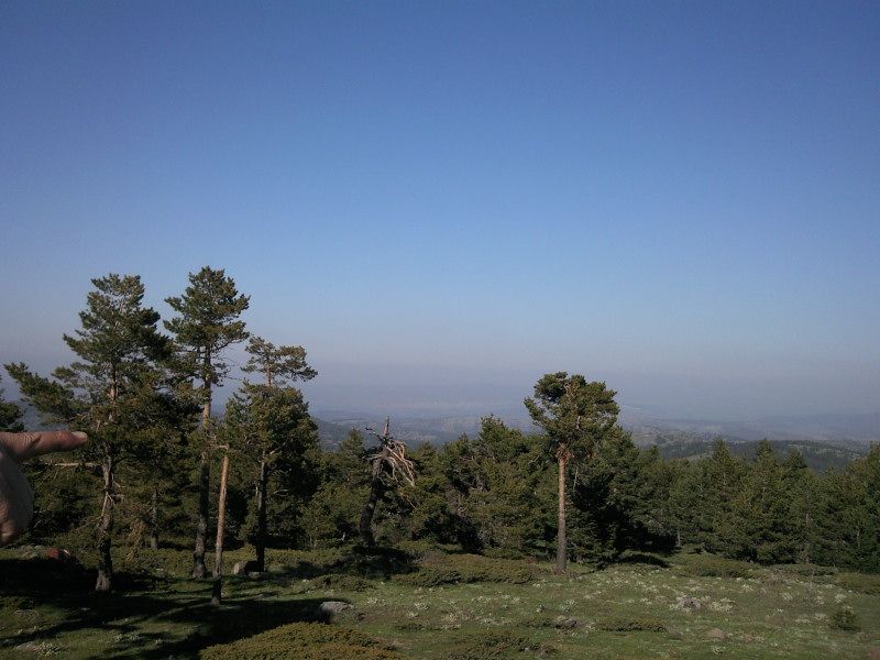 FotoÃƒÂƒÃ‚Â„ÃƒÂ‚Ã‚ÂŸraf-0193.jpg