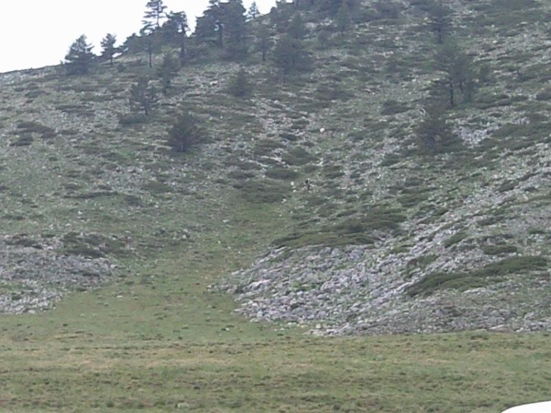 FotoÃƒÂƒÃ‚Â„ÃƒÂ‚Ã‚ÂŸraf-0193.jpg