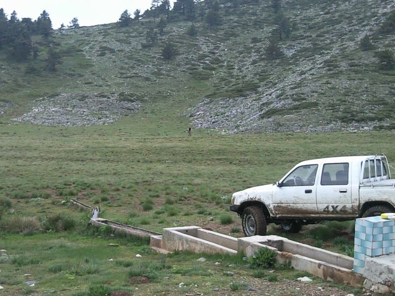 FotoÃƒÂƒÃ‚Â„ÃƒÂ‚Ã‚ÂŸraf-0194.jpg