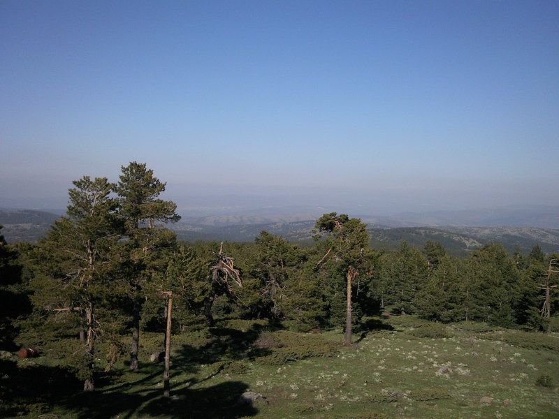 FotoÃƒÂƒÃ‚Â„ÃƒÂ‚Ã‚ÂŸraf-0195.jpg