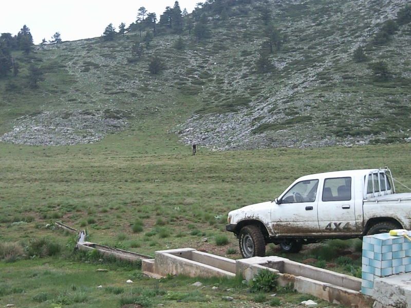 FotoÃƒÂƒÃ‚Â„ÃƒÂ‚Ã‚ÂŸraf-0195.jpg