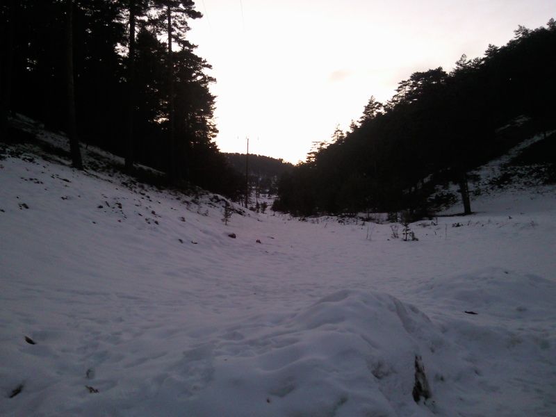 FotoÃƒÂƒÃ‚Â„ÃƒÂ‚Ã‚ÂŸraf-0195.jpg