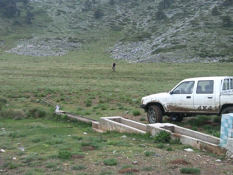 FotoÃƒÂƒÃ‚Â„ÃƒÂ‚Ã‚ÂŸraf-0196.jpg