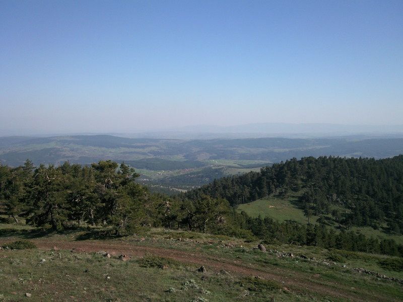 FotoÃƒÂƒÃ‚Â„ÃƒÂ‚Ã‚ÂŸraf-0197.jpg