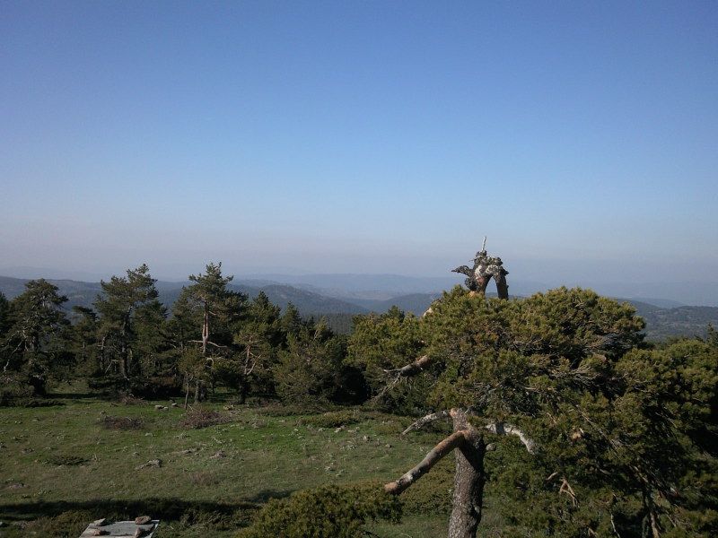FotoÃƒÂƒÃ‚Â„ÃƒÂ‚Ã‚ÂŸraf-0199.jpg