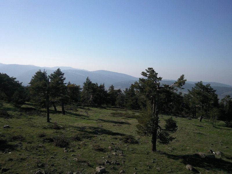 FotoÃƒÂƒÃ‚Â„ÃƒÂ‚Ã‚ÂŸraf-0200.jpg