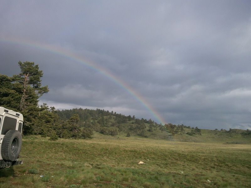 FotoÃƒÂƒÃ‚Â„ÃƒÂ‚Ã‚ÂŸraf-0201.jpg