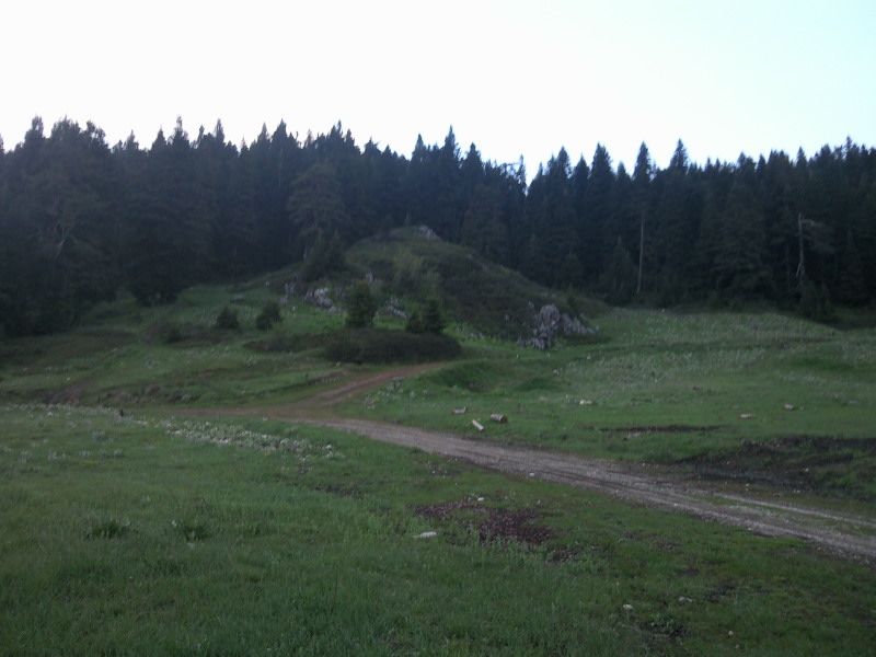 FotoÃƒÂƒÃ‚Â„ÃƒÂ‚Ã‚ÂŸraf-0203.jpg