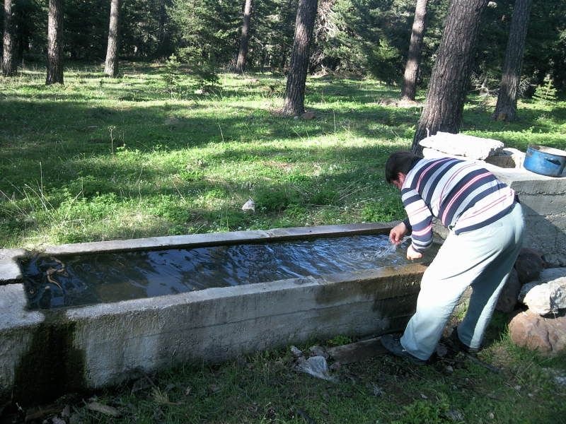 FotoÃƒÂƒÃ‚Â„ÃƒÂ‚Ã‚ÂŸraf-0204.jpg