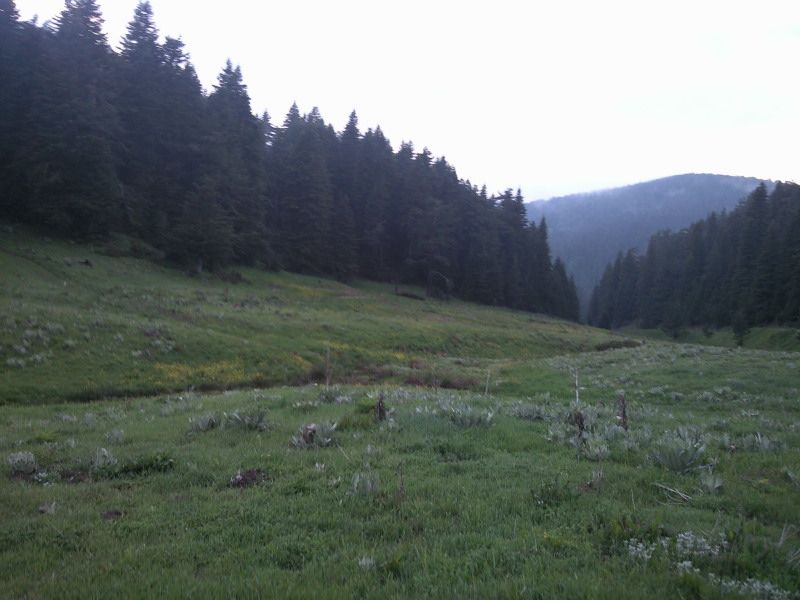 FotoÃƒÂƒÃ‚Â„ÃƒÂ‚Ã‚ÂŸraf-0204.jpg