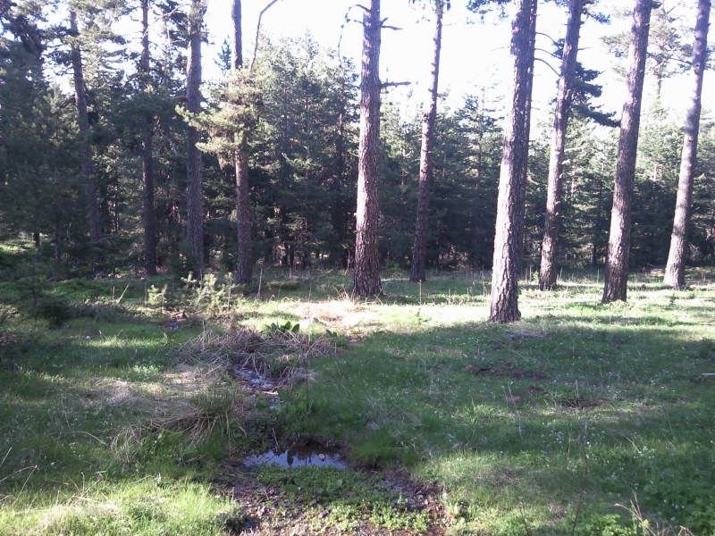FotoÃƒÂƒÃ‚Â„ÃƒÂ‚Ã‚ÂŸraf-0205.jpg