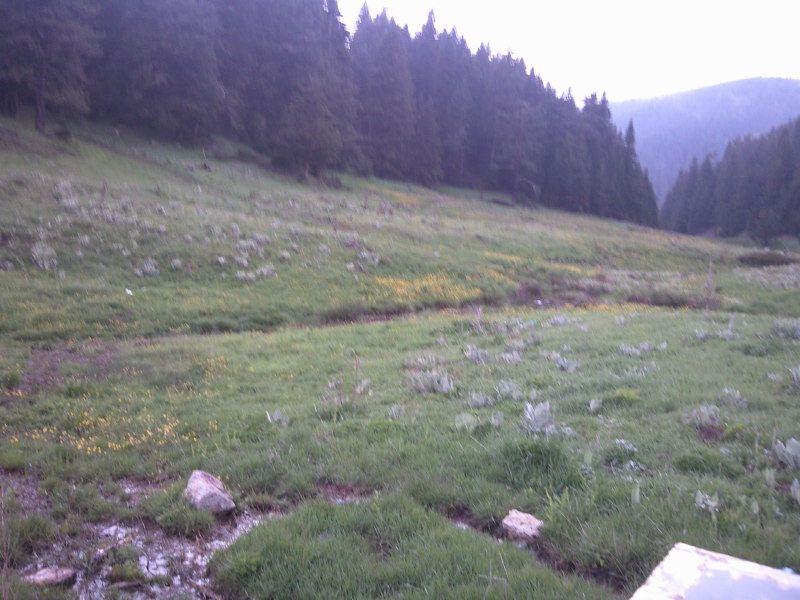 FotoÃƒÂƒÃ‚Â„ÃƒÂ‚Ã‚ÂŸraf-0205.jpg