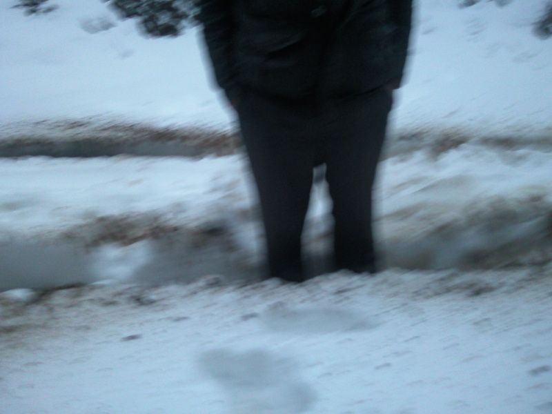 FotoÃƒÂƒÃ‚Â„ÃƒÂ‚Ã‚ÂŸraf-0206.jpg