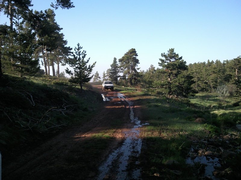 FotoÃƒÂƒÃ‚Â„ÃƒÂ‚Ã‚ÂŸraf-0209.jpg