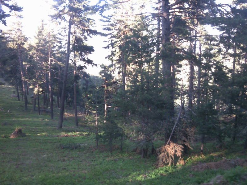 FotoÃƒÂƒÃ‚Â„ÃƒÂ‚Ã‚ÂŸraf-0212.jpg