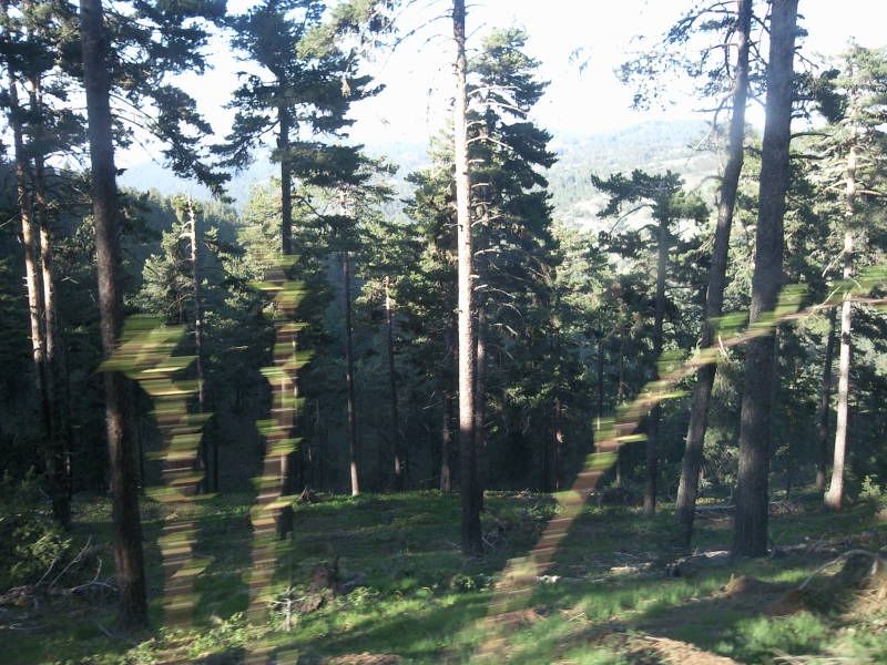 FotoÃƒÂƒÃ‚Â„ÃƒÂ‚Ã‚ÂŸraf-0213.jpg