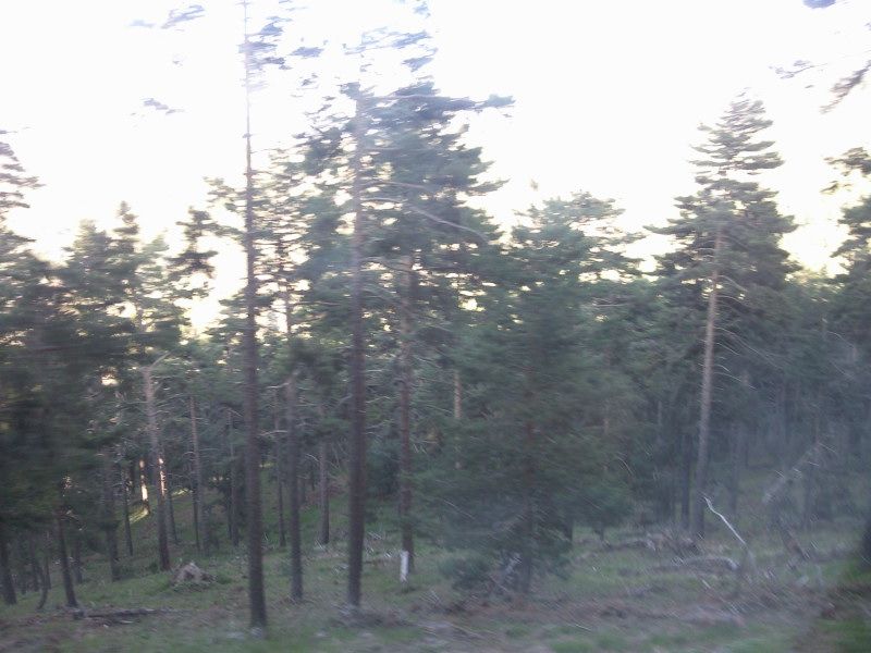 FotoÃƒÂƒÃ‚Â„ÃƒÂ‚Ã‚ÂŸraf-0214.jpg