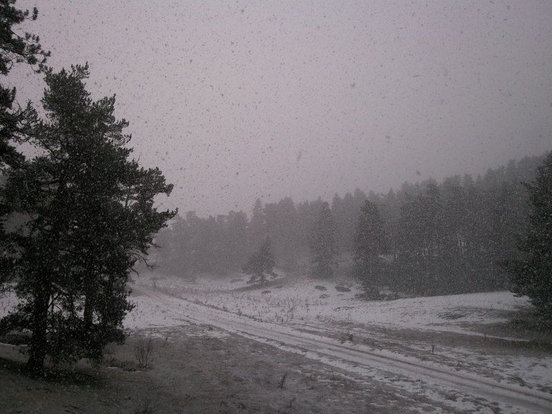 FotoÃƒÂƒÃ‚Â„ÃƒÂ‚Ã‚ÂŸraf-0214.jpg