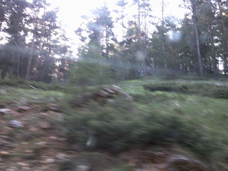 FotoÃƒÂƒÃ‚Â„ÃƒÂ‚Ã‚ÂŸraf-0217.jpg