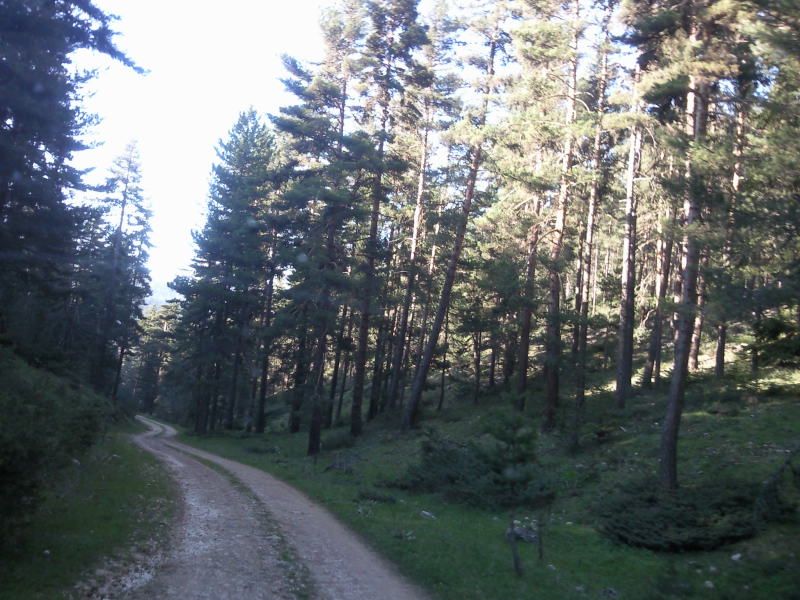 FotoÃƒÂƒÃ‚Â„ÃƒÂ‚Ã‚ÂŸraf-0218.jpg