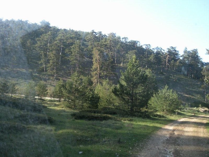 FotoÃƒÂƒÃ‚Â„ÃƒÂ‚Ã‚ÂŸraf-0219.jpg