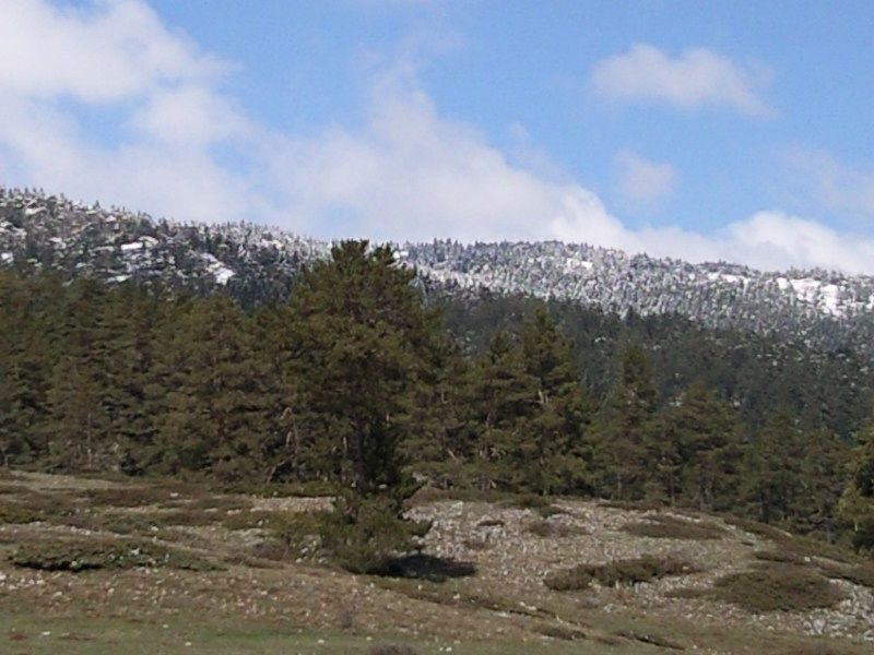 FotoÃƒÂƒÃ‚Â„ÃƒÂ‚Ã‚ÂŸraf-0220.jpg
