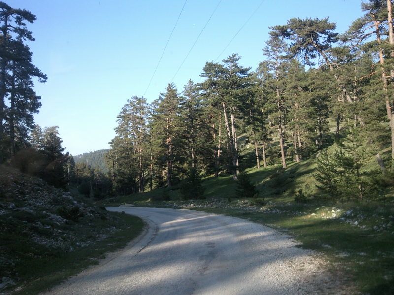 FotoÃƒÂƒÃ‚Â„ÃƒÂ‚Ã‚ÂŸraf-0220.jpg