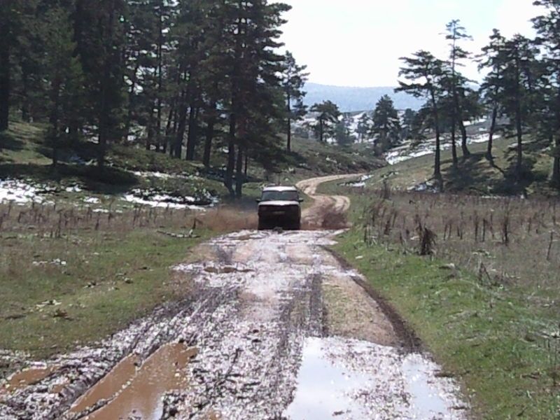 FotoÃƒÂƒÃ‚Â„ÃƒÂ‚Ã‚ÂŸraf-0221.jpg