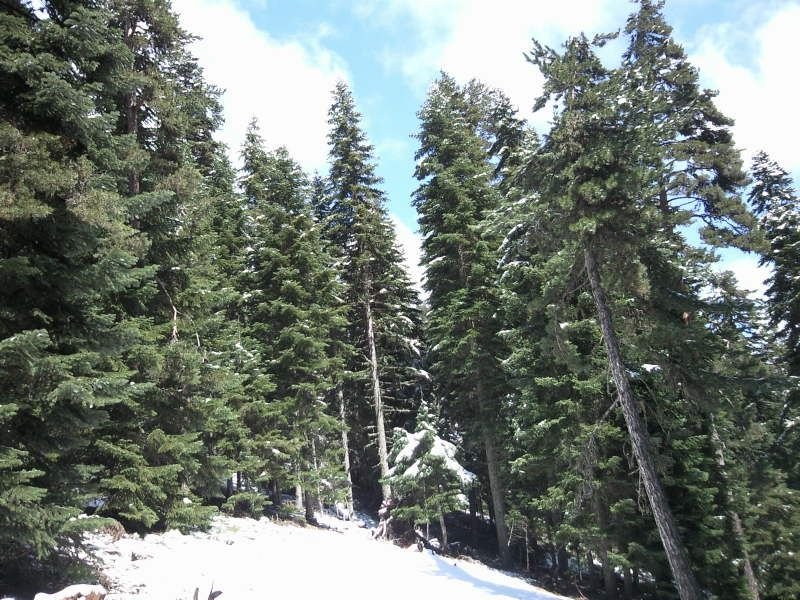 FotoÃƒÂƒÃ‚Â„ÃƒÂ‚Ã‚ÂŸraf-0225.jpg