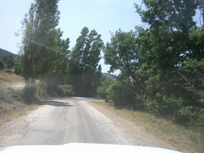 FotoÃƒÂƒÃ‚Â„ÃƒÂ‚Ã‚ÂŸraf-0227.jpg