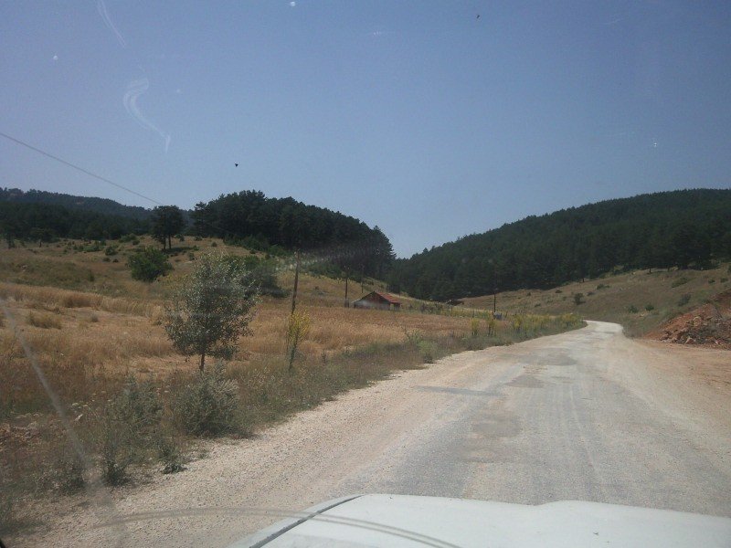 FotoÃƒÂƒÃ‚Â„ÃƒÂ‚Ã‚ÂŸraf-0229.jpg