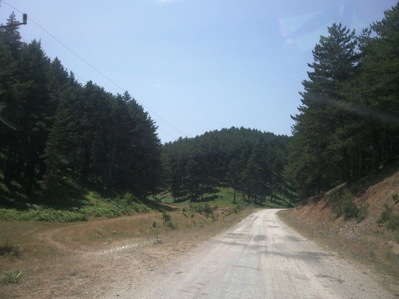 FotoÃƒÂƒÃ‚Â„ÃƒÂ‚Ã‚ÂŸraf-0231.jpg