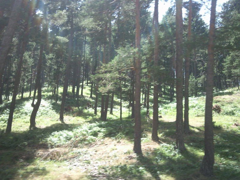 FotoÃƒÂƒÃ‚Â„ÃƒÂ‚Ã‚ÂŸraf-0233.jpg