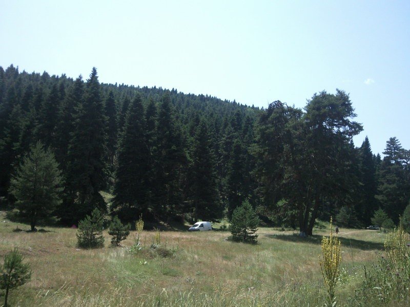 FotoÃƒÂƒÃ‚Â„ÃƒÂ‚Ã‚ÂŸraf-0235.jpg