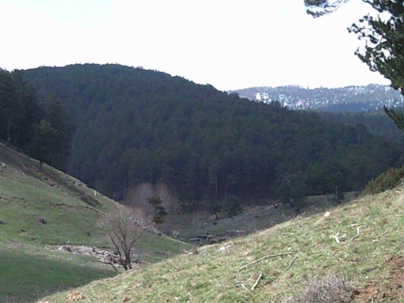 FotoÃƒÂƒÃ‚Â„ÃƒÂ‚Ã‚ÂŸraf-0237.jpg