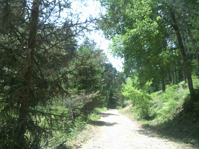 FotoÃƒÂƒÃ‚Â„ÃƒÂ‚Ã‚ÂŸraf-0239.jpg