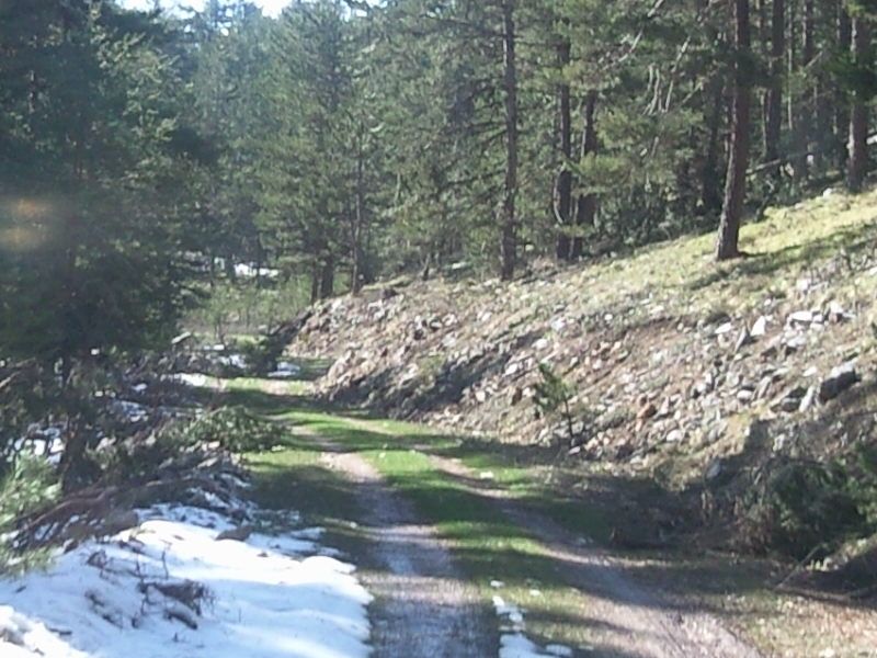 FotoÃƒÂƒÃ‚Â„ÃƒÂ‚Ã‚ÂŸraf-0240.jpg