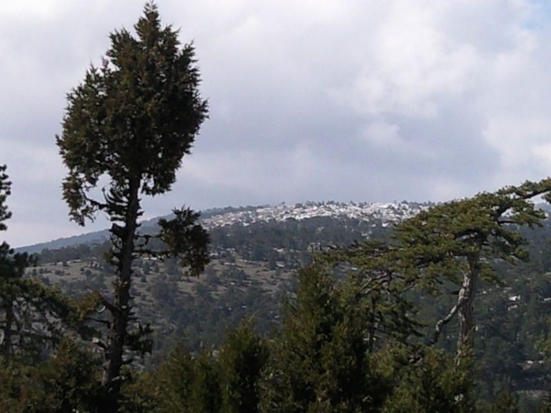 FotoÃƒÂƒÃ‚Â„ÃƒÂ‚Ã‚ÂŸraf-0242.jpg